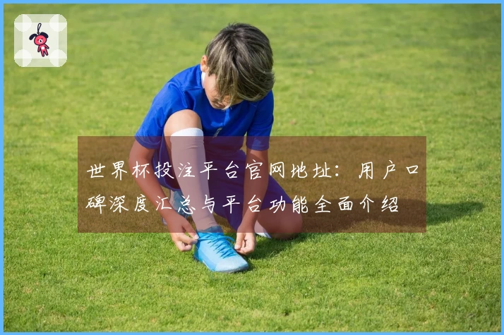 世界杯投注平台官网地址：用户口碑深度汇总与平台功能全面介绍