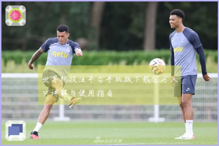 世界杯投注平台手机版下载官方入口详解与使用指南