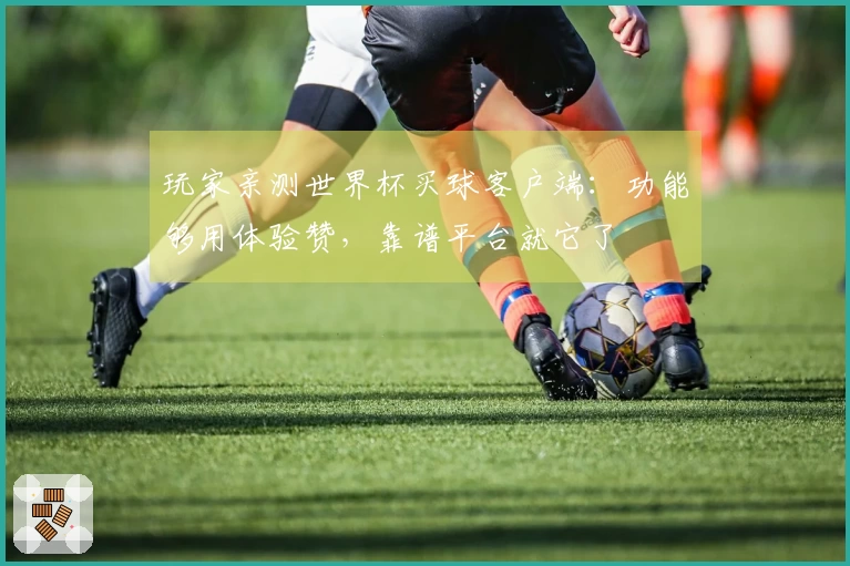 玩家亲测世界杯买球客户端:功能够用体验赞,靠谱平台就它了