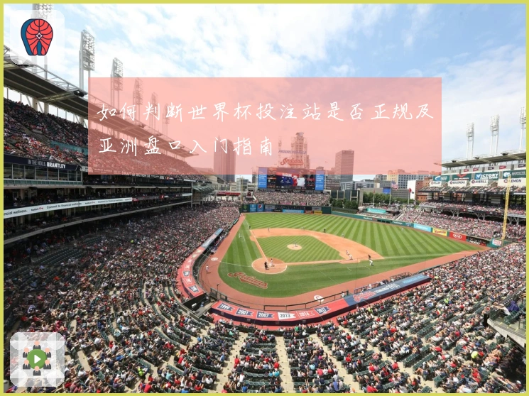 如何判断世界杯投注站是否正规及亚洲盘口入门指南