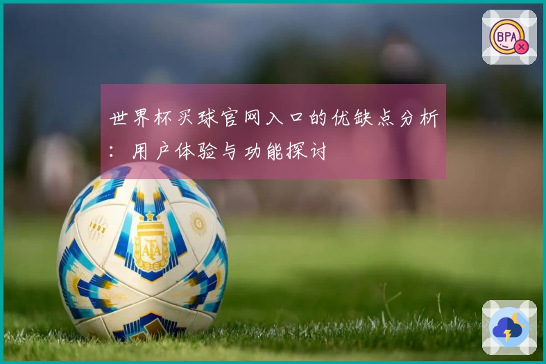 世界杯买球官网入口的优缺点分析：用户体验与功能探讨