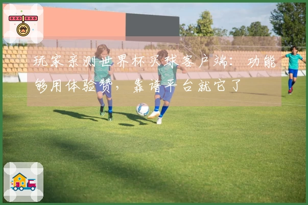 玩家亲测世界杯买球客户端：功能够用体验赞，靠谱平台就它了