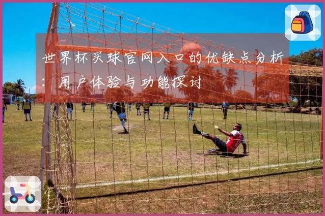 世界杯买球官网入口的优缺点分析：用户体验与功能探讨