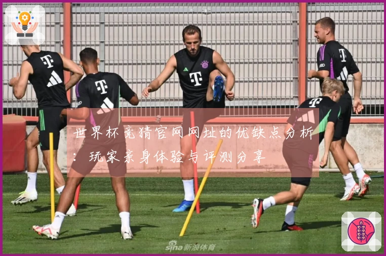 世界杯竞猜官网网址的优缺点分析：玩家亲身体验与评测分享