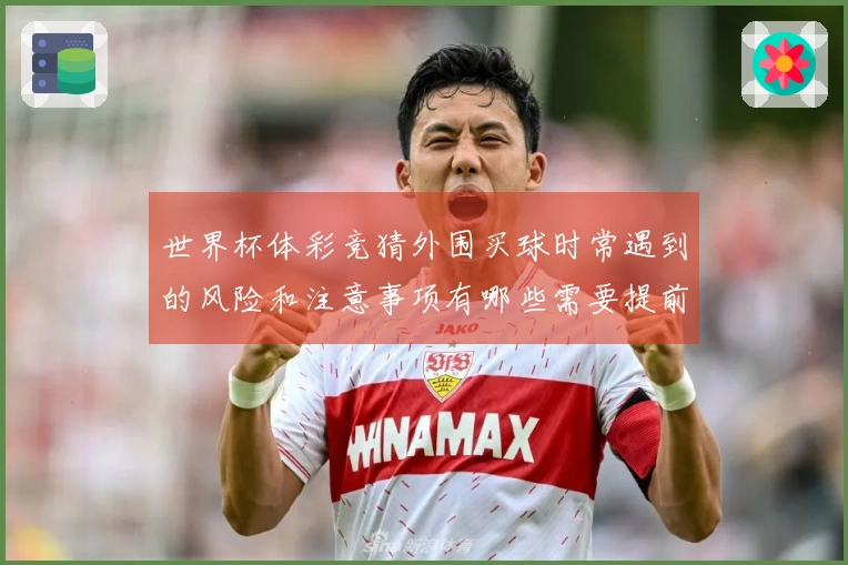 世界杯体彩竞猜外围买球时常遇到的风险和注意事项有哪些需要提前了解