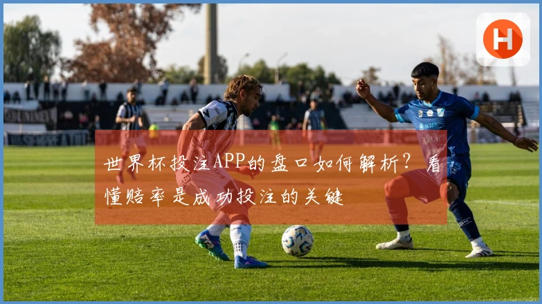 世界杯投注APP的盘口如何解析?看懂赔率是成功投注的关键