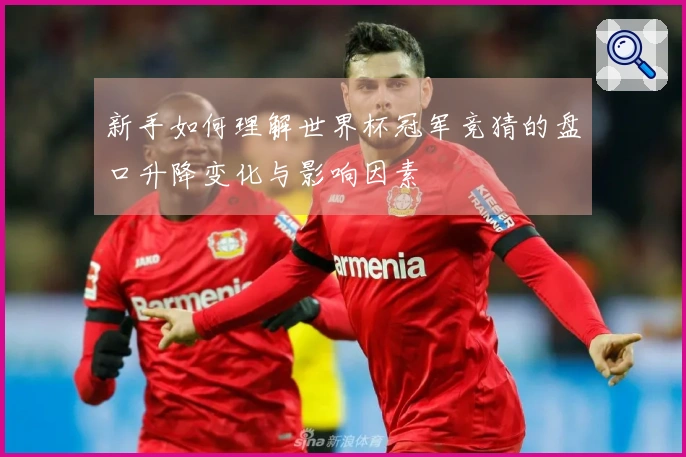 新手如何理解世界杯冠军竞猜的盘口升降变化与影响因素