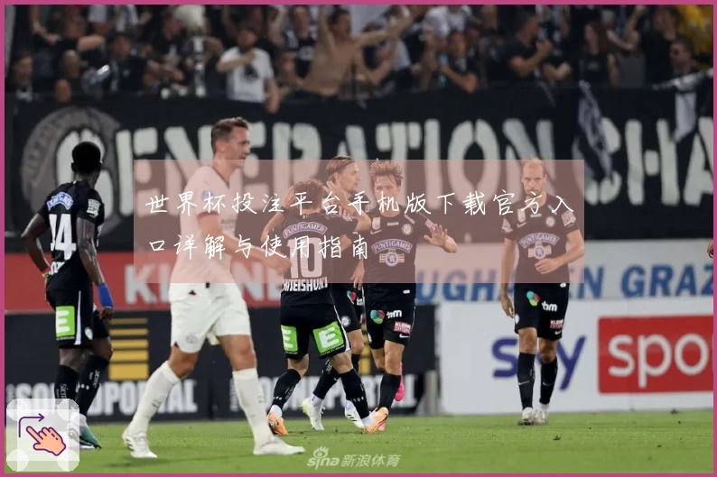 世界杯投注平台手机版下载官方入口详解与使用指南