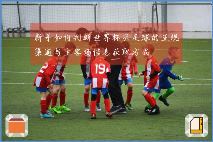 新手如何判断世界杯买足球的正规渠道与主客场信息获取方式