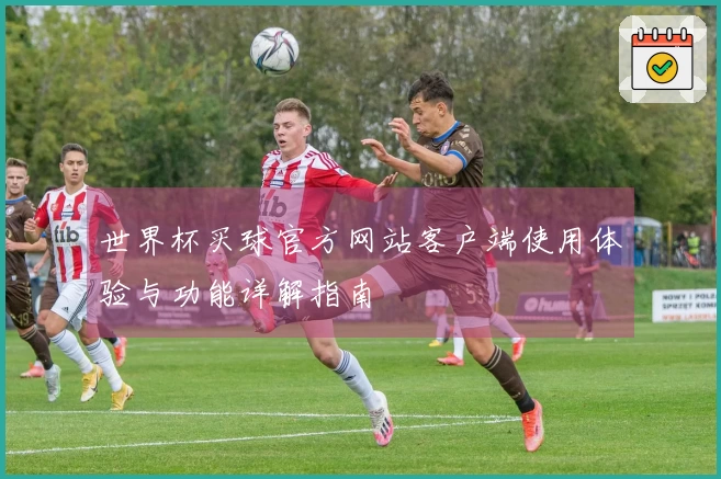 世界杯买球官方网站客户端使用体验与功能详解指南
