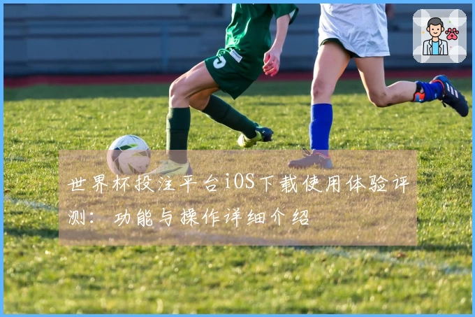世界杯投注平台iOS下载使用体验评测：功能与操作详细介绍